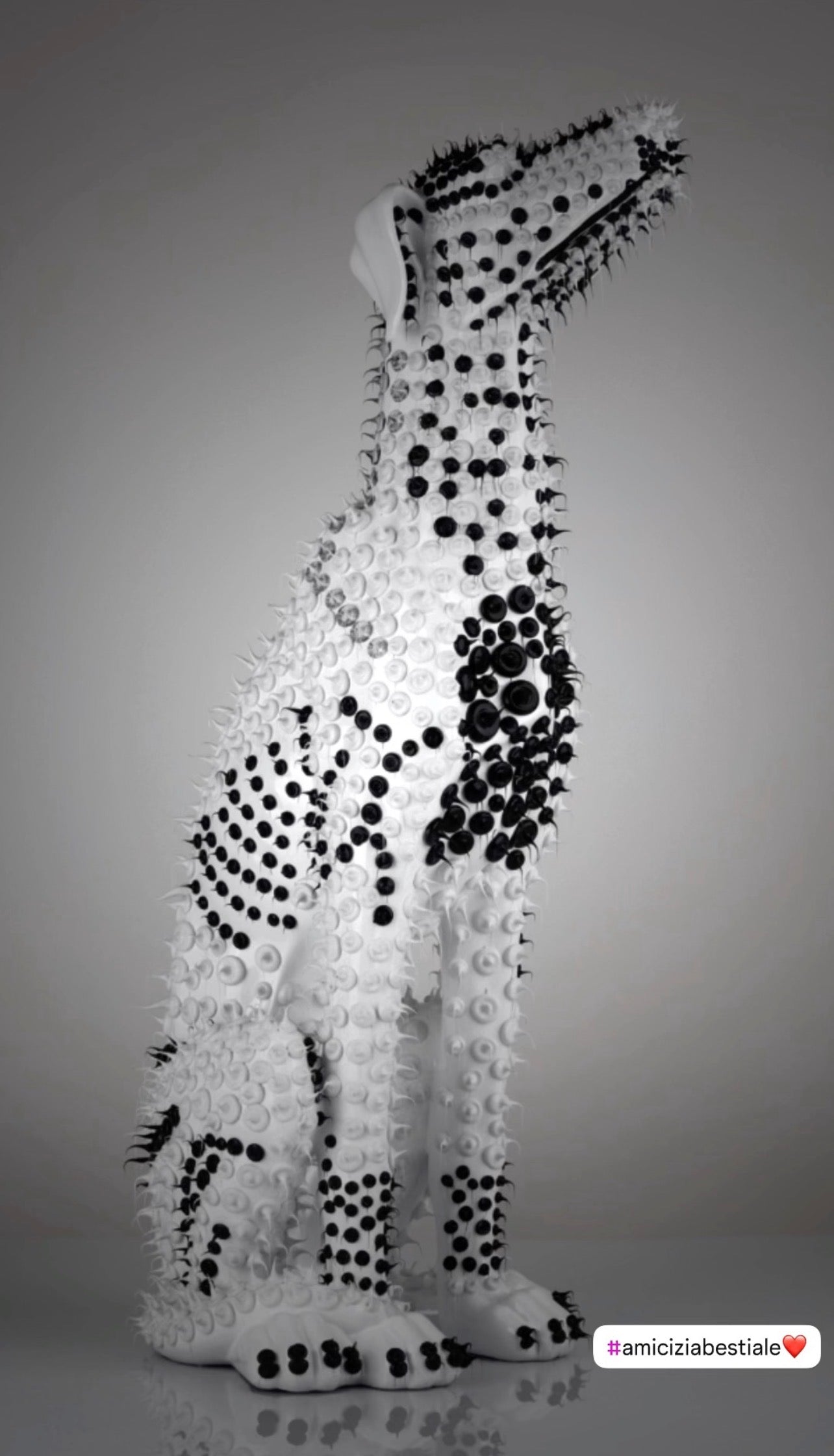 Levriero Black & White Drops