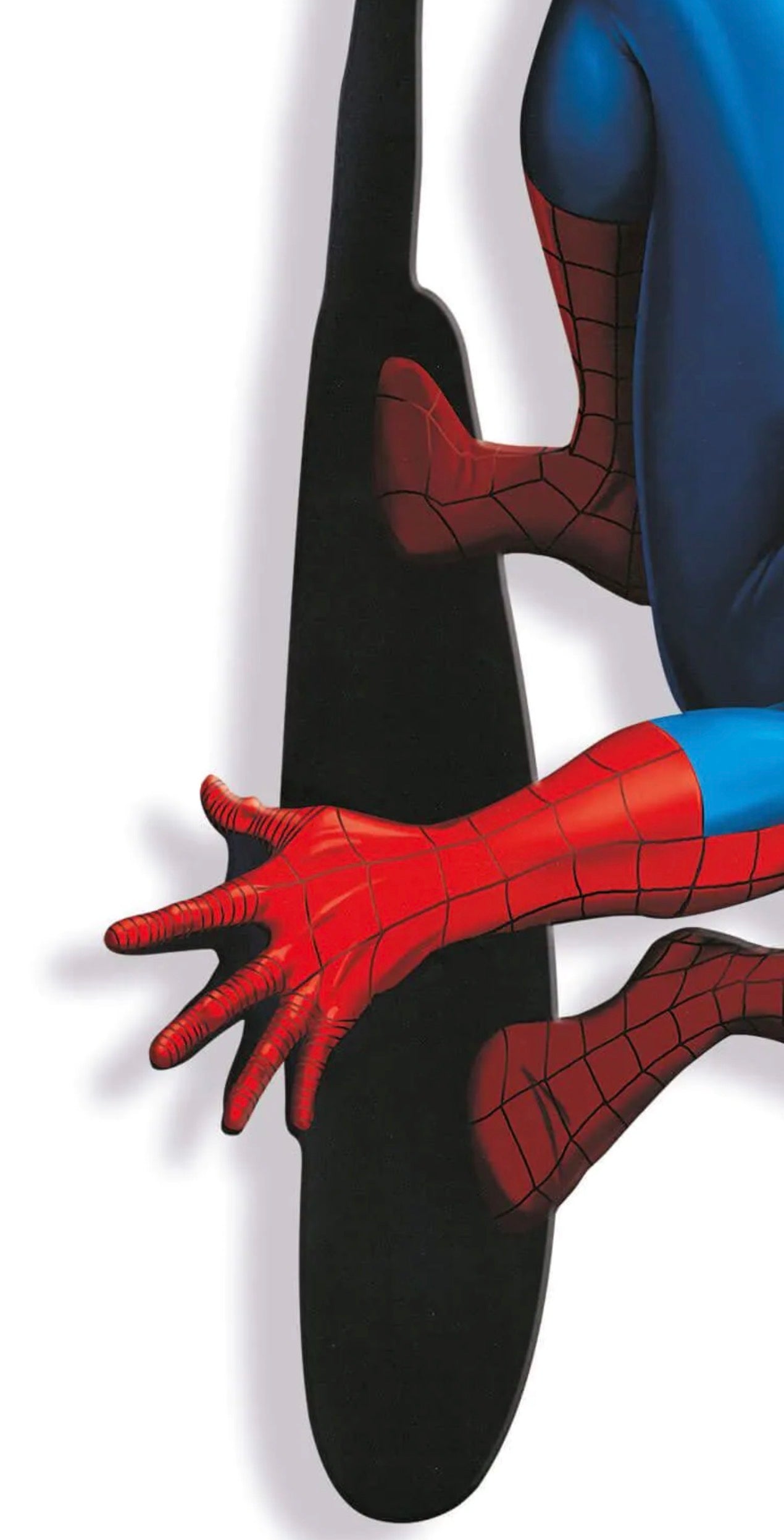 L’Acrobata dei Cieli