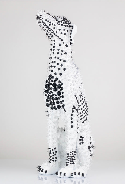 Levriero Black & White Drops