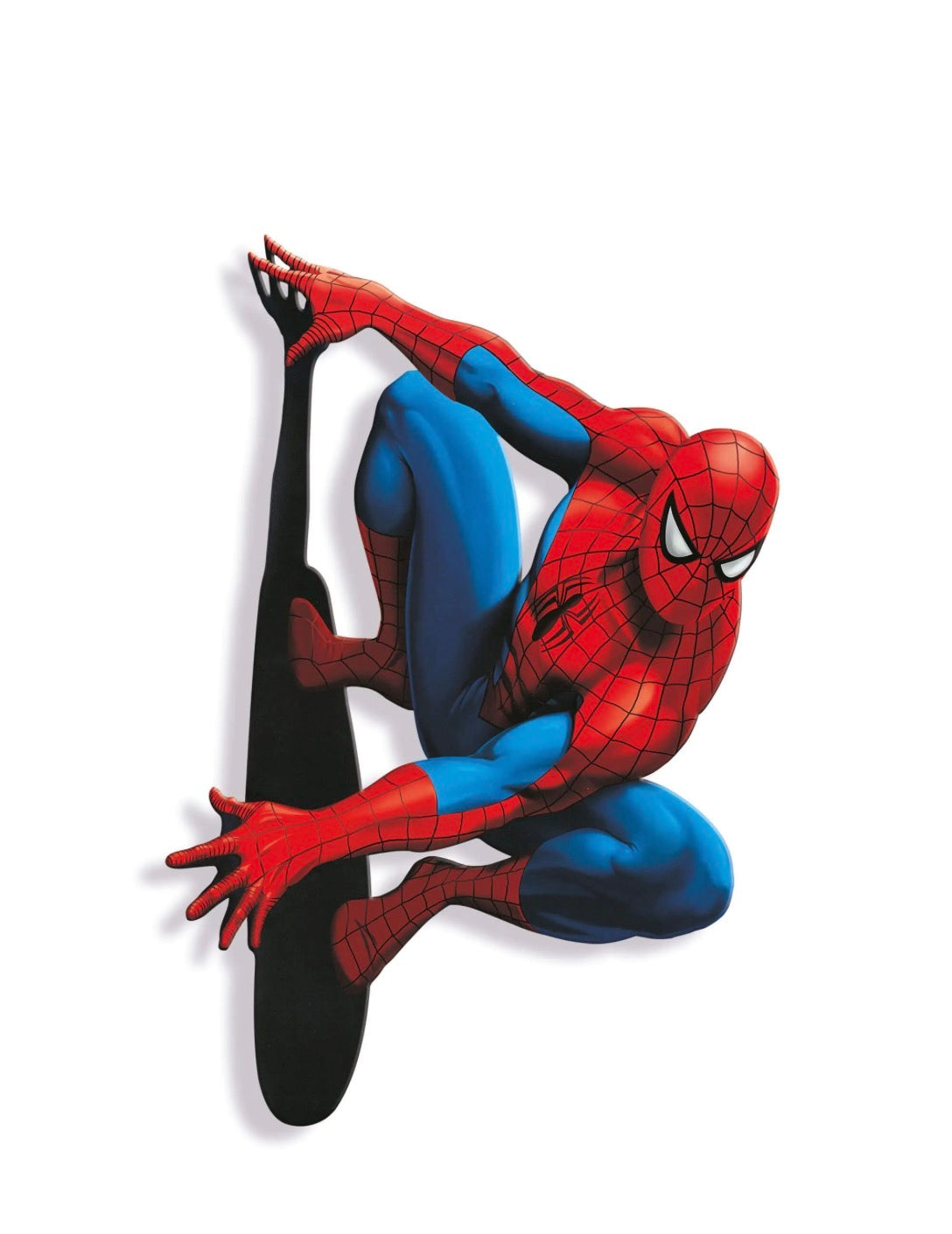 L’Acrobata dei Cieli