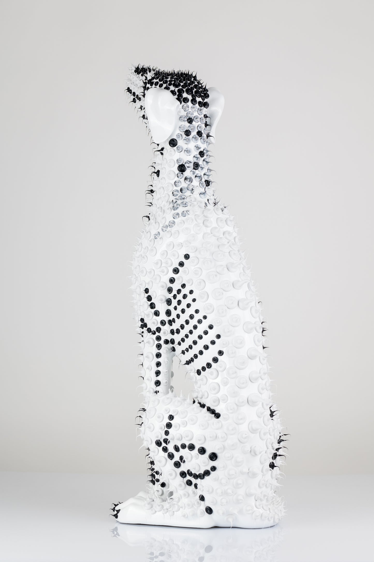 Levriero Black & White Drops